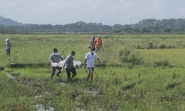 Phát hiện thi thể người đàn ông lõa thể giữa cánh đồng