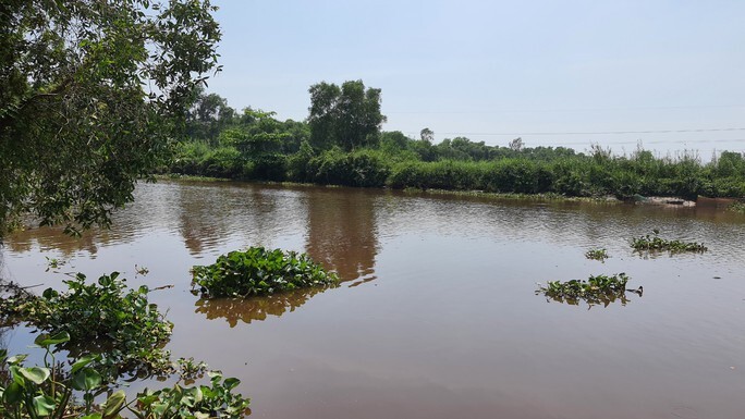 Phát hiện 2 mẹ con tử vong dưới kênh ở TP.HCM