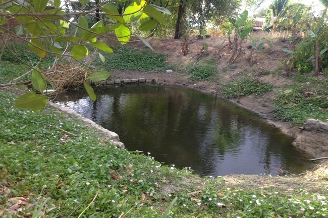 15 phút sau khi phát hiện đôi dép trên bờ, vớt được 2 thi thể dưới hồ