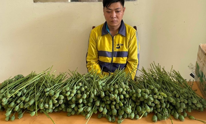 Bán quả và thân cây anh túc trước Đại học FPT, 2 người đàn ông bị bắt giữ