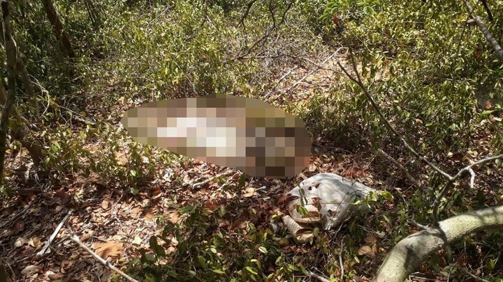 Vụ thi thể nữ giới giữa rừng ở Bình Thuận: Tử thi mất 2 xương bàn tay, bàn chân