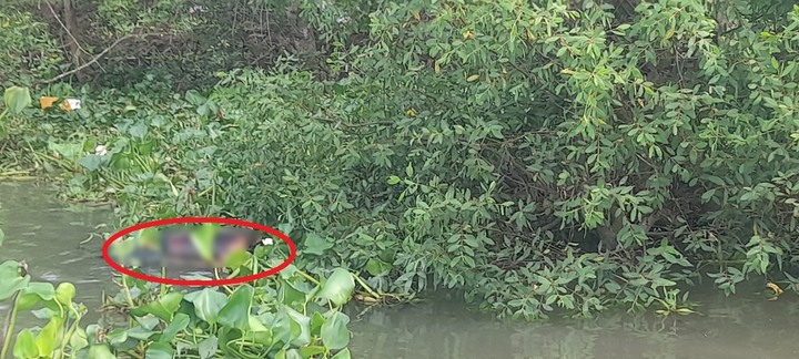 Kinh hãi phát hiện thi thể nam giới đang phân hủy nổi trên sông Tiền