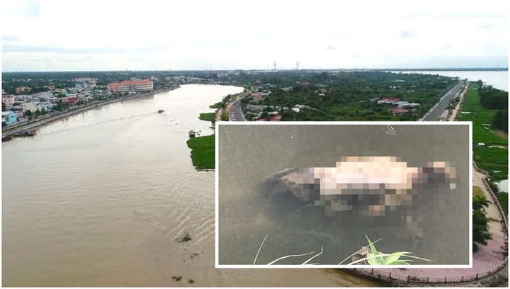 Phát hiện thi thể nam thanh niên 22 tuổi trên sông ở Vĩnh Long