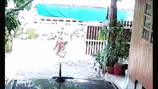 Video: Bị rắn hổ mang rượt đuổi, người đàn ông hoảng sợ phóng xe máy bỏ chạy