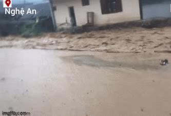 Mưa lớn ở Nghệ An, nước cuồn cuộn đổ về, nhiều nơi ngập sâu