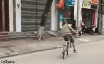 Người đi xe đạp uống rượu bia, có bị xử phạt lỗi vi phạm nồng độ cồn?