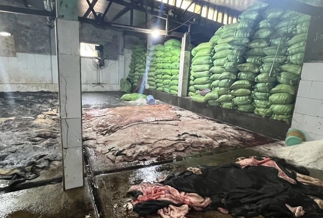 Tin thời sự nóng mới nhất ngày 26/12: Phát hiện 4 tấn da bò đang phân hủy, chuẩn bị tung ra thị trường