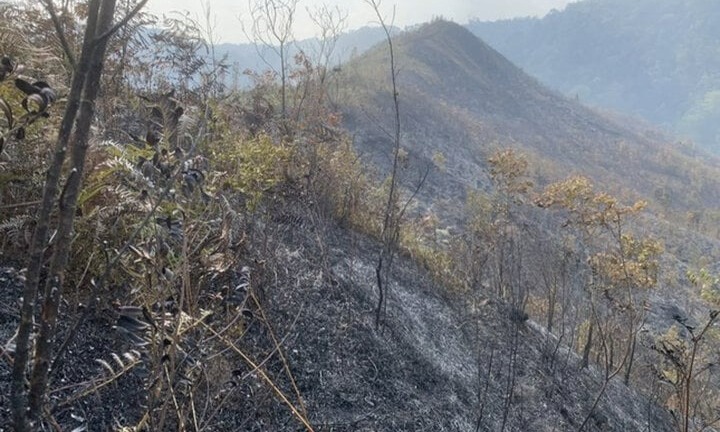 Tin thời sự nóng mới nhất ngày 27/3: Gần 2,5ha rừng tái sinh ở Yên Bái bị thiêu rụi