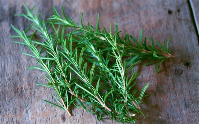 Công dụng tuyệt vời của cây hương thảo