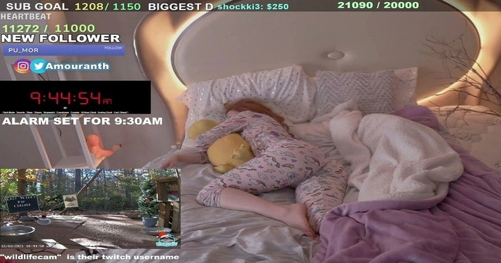 Kiếm triệu USD mỗi tháng bằng cách livestream khi đang ngủ 