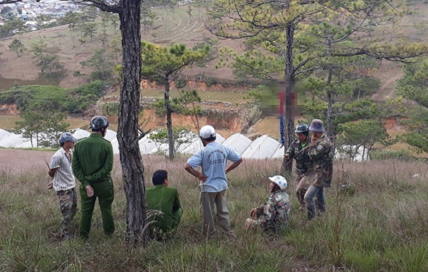Đi bắt ve sầu trong đêm, kinh hãi phát hiện thi thể treo cổ trên cây ở nghĩa trang