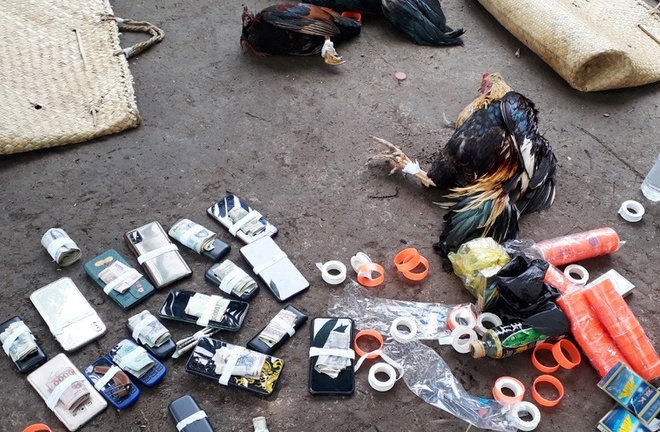 Bị cảnh sát vây ráp, hàng chục con bạc vây quanh sới gà bỏ chạy tán loạn