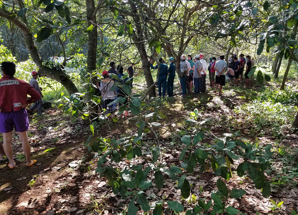 Kinh hãi phát hiện thi thể treo cổ trên cây điều