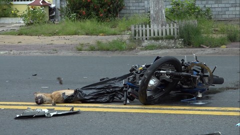 Tin tức tai nạn giao thông ngày 22/7/2021: 2 thanh niên nghi trộm chó tông trực diện xe tải, nằm bất động