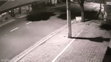 Vụ clip cha cùng con gái chống trả nhóm trộm chó: 