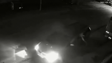 Clip thanh niên thò người qua cửa ô tô, chích điện bắt trộm chó 10 kg trong 20 giây