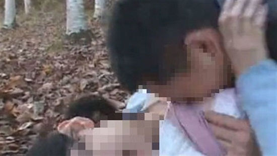 Đi thả gia súc trên đồi vắng, 