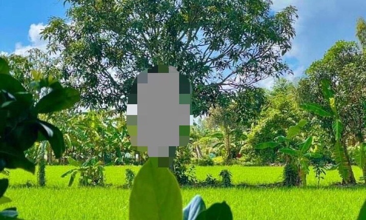 Nghi án đâm chết vợ hờ rồi treo cổ tự tử trên cây xoài