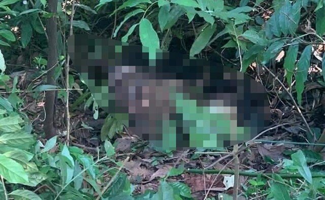 Vụ thi thể đang phân hủy, bị quấn chăn và dây ở Hải Phòng: Nghi là nam sinh mất tích 1 tuần