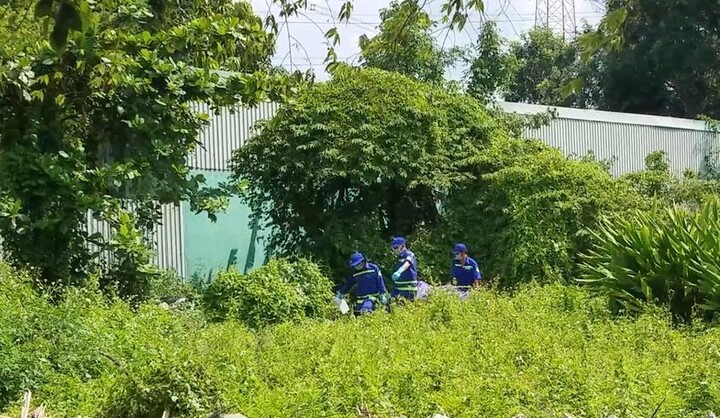 Đi chặt cây, kinh hãi phát hiện thi thể đang phân hủy trong tư thế treo cổ