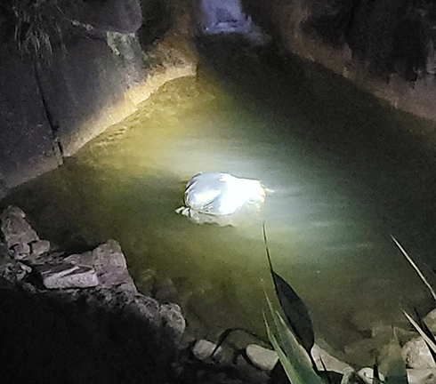 Tin tức pháp luật ngày 22/9: Thi thể người đang phân hủy trong bao tải ven đường