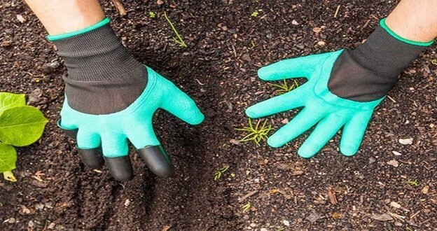 Thanh Hóa: Một bệnh nhân tử vong do nhiễm vi khuẩn bệnh Whitmore