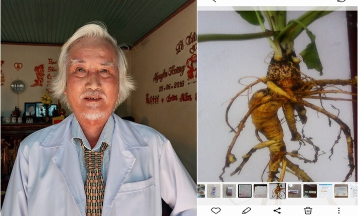 LƯƠNG Y NGUYỄN XUÂN NGUYÊN HỖ TRỢ ĐIỀU TRỊ BỆNH BẰNG SÂM ĐẠI QUANG 