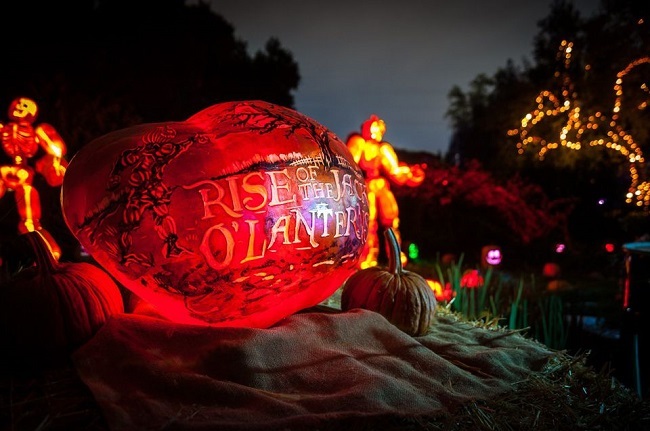 Mỹ: 7 người thương vong trong vụ xả súng vào tiệc Halloween ở California