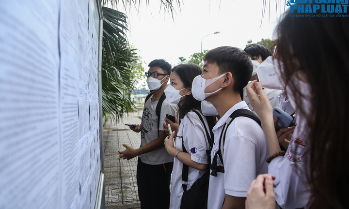 Đáp án môn KHTN Vật lý - Hóa học - Sinh học mã đề 215 tốt nghiệp THPT 2022