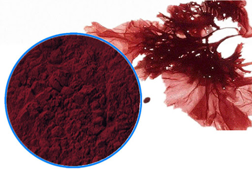 Astaxanthin - Tinh chất vàng có trong mặt nạ Cimer giúp làn da luôn căng bóng