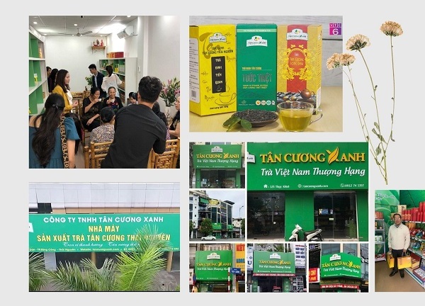 Tân Cương Xanh - Thương hiệu chè Thái Nguyên uy tín!