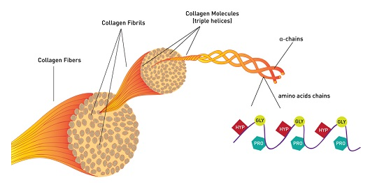 Chọn mua collagen thế nào vừa hiệu quả vừa tiết kiệm