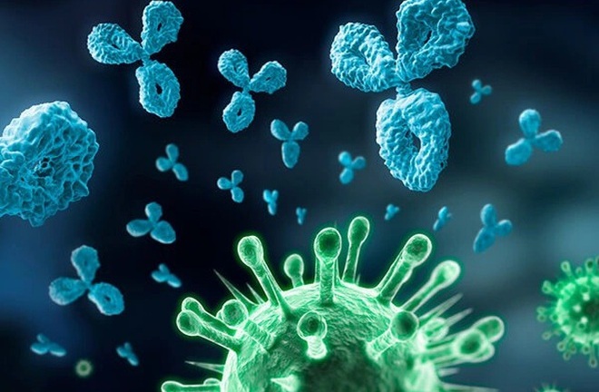 Liệu pháp được xem là khắc tinh của Covid-19 với 