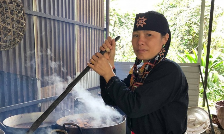 Công cuộc “cấy gen” cây thuốc quý cứu cả vạn người bị xương khớp của “thần y núi Tản”