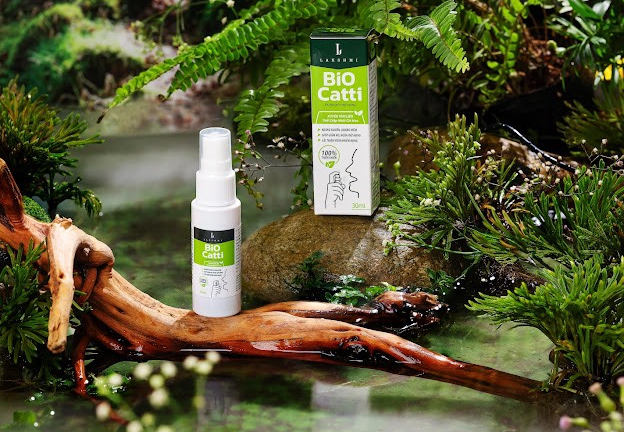 Trường học ngày mở cửa, cần chuẩn bị gì cho con?