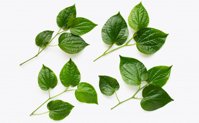 4 cách trị hôi nách từ những nguyên liệu đơn giản dễ tìm