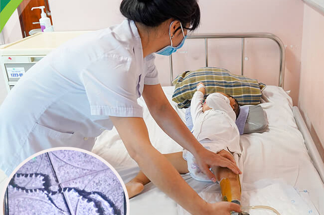 Truyền 60 lọ huyết thanh cứu sống 3 bệnh nhi bị rắn cắn