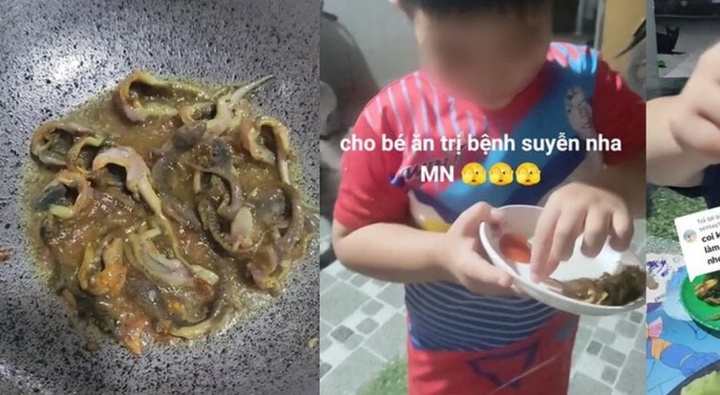 Xôn xao việc dùng thằn lằn trị hen suyễn cho trẻ: Bác sĩ lên tiếng cảnh báo