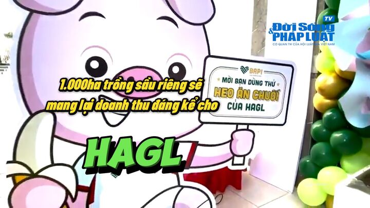 Hoàng Anh Gia Lai từng bước khắc phục tình trạng chứng khoán bị cảnh báo
