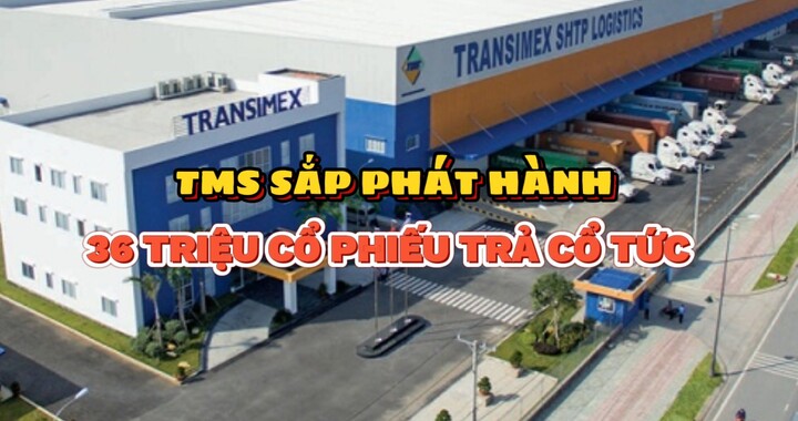 TMS chuẩn bị phát hành hơn 36 triệu cổ phiếu trả cổ tức