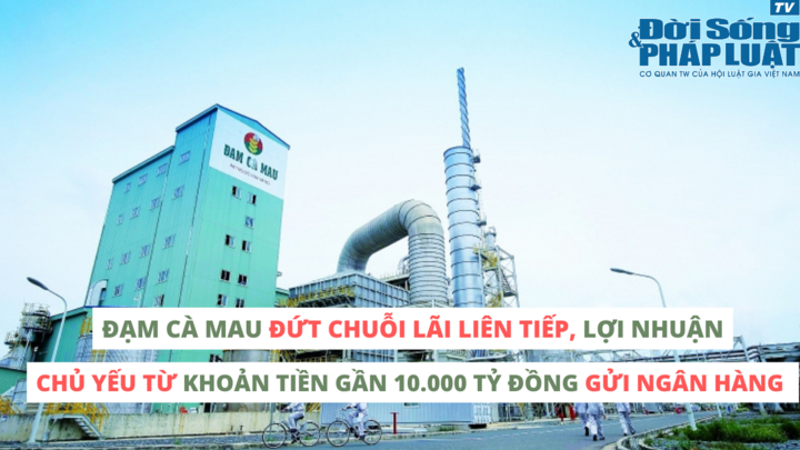 Đạm Cà Mau đứt chuỗi lãi liên tiếp, lợi nhuận chủ yếu từ khoản tiền gần 10.000 tỷ đồng gửi ngân hàng 
