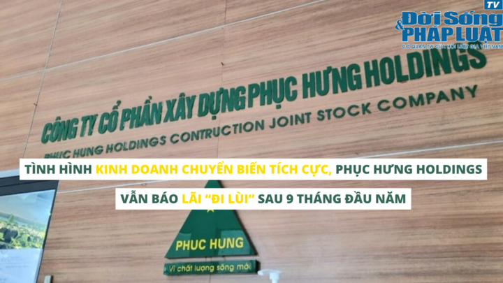 Tình hình kinh doanh chuyển biến tích cực, Phục Hưng Holdings vẫn báo lãi “đi lùi” sau 9 tháng đầu năm