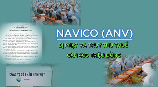 Navico (ANV) vi phạm về thuế bị phạt và truy thu gần 400 triệu đồng