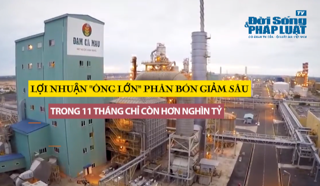 Lợi nhuận của “ông lớn” phân bón giảm sâu trong 11 tháng lãi còn hơn nghìn tỷ cả năm