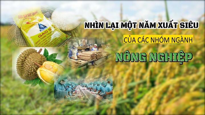 Nhìn lại một năm xuất siêu của các nhóm ngành nông nghiệp