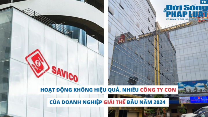 Hoạt động không hiệu quả, nhiều công ty con của doanh nghiệp giải thể đầu năm 2024 