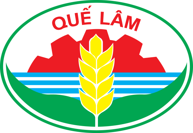 Công ty Quế Lâm Phương Bắc – Bài 1: Trúng hàng chục gói thầu với tỉ lệ tiết kiệm siêu thấp