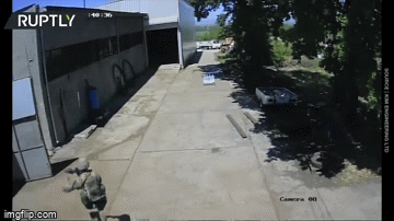 Video: Binh lính Mỹ đi lạc giữa cuộc tập trận, đột kích nhầm vào nhà máy Bulgaria