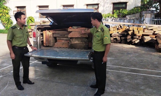 Ô tô chở gỗ lậu đeo biển giả, tháo chạy với vận tốc hơn 100km/h khi bị phát hiện