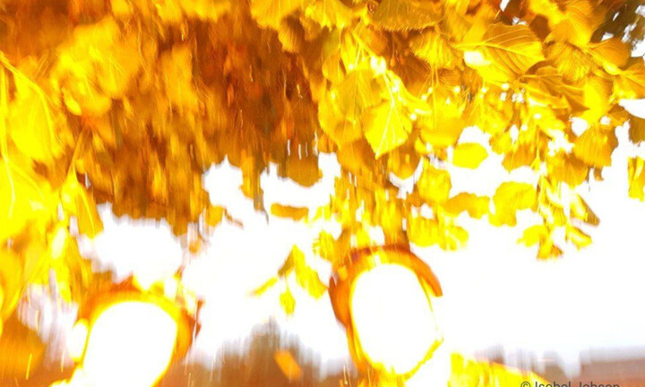 Bức ảnh selfie bắt trúng khoảnh khắc bị sét đánh của 3 chị em gây